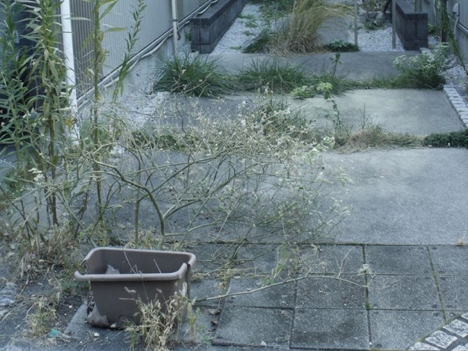 夏に雑草が伸びた建物まわり