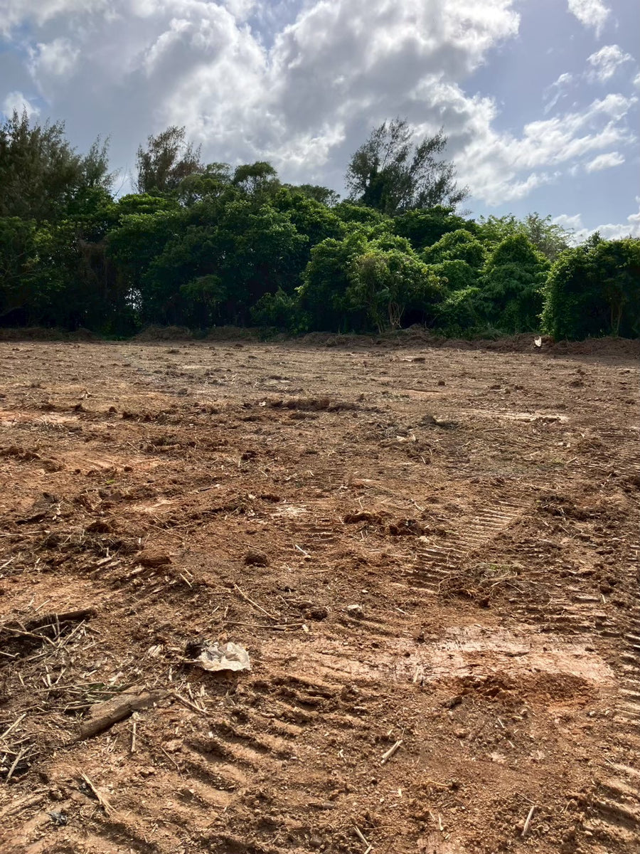Farm in Nago City, Okinawa Prefecture